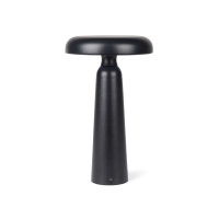 zwart (± PMS Black)