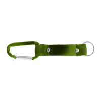 Green (#658D1B)