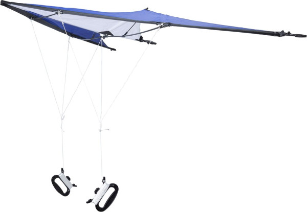 Polyester (210T) delta kite Lirien